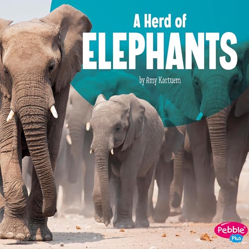 A Herd of Elephants by Amy Kortuem episode artwork