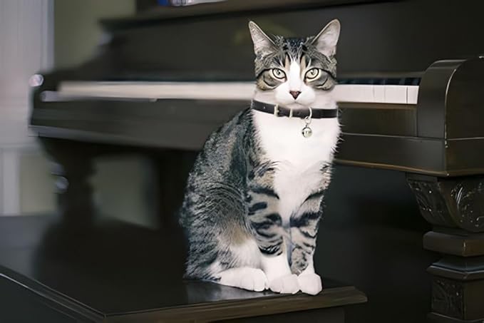 Collar para gato blanco con campana, piel suave, ajustable miniatura 3