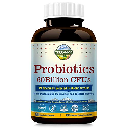 Terranics Probiotics with Prebiotics, 60 Billion CFU, 19 Strains, 60 Vegetarian Capsules, Acid
