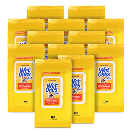 Image of Wet Ones for Pets Multipurpose Dog Wipes with Aloe Vera, Tropical Splash Scent - Pet Bathing Wipes with Wet Lock Seal for Dog Paws and All-Over Use, 100 Count - 12 Pack