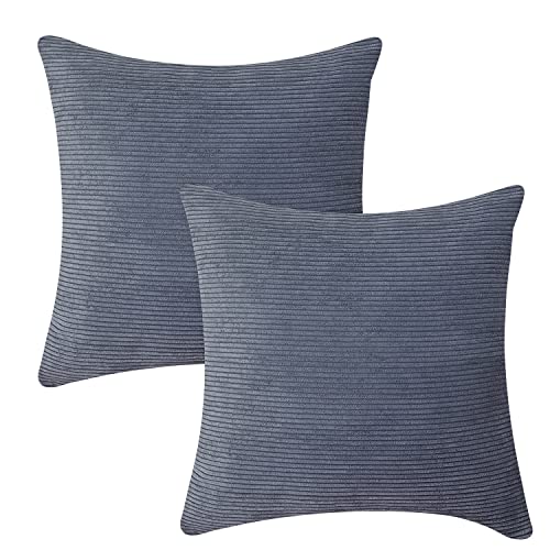 Soft Corduroy Pillow Covers For Couch 20X20, Spring Garden Home Soft Velvet Square Throw Pillow Case Protector Set Of 2 For Bedroom Lounge, Ice Blue Grey #TOP11
