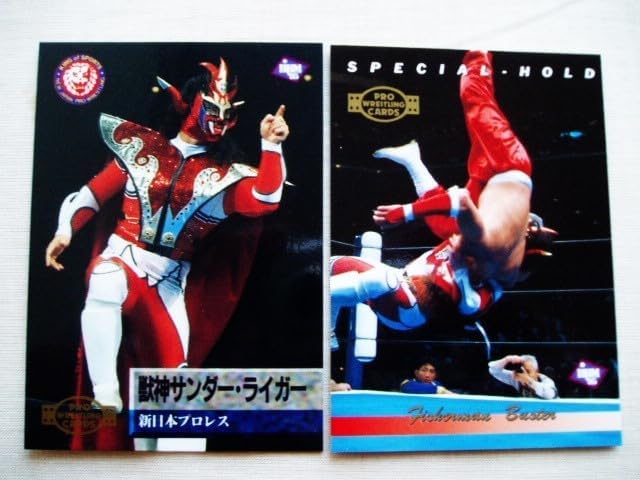HCコレクション 獣神サンダー・ライガーセット　ハオ　ＨＡＯプロレス HCコレクション 獣神サンダー・ライガーセット ハオ HAOプロレス