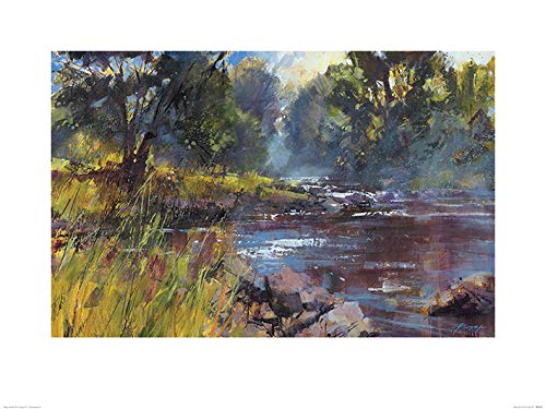 Toile imprimée grand format Chris Forsey PPR51073 multicolore 60x80