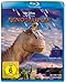 Produktbild Dinosaurier [Blu-ray]