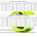 ApisQueen 12V~16V Underwater Thruster U1 Set, with ESC and RC, 7.5LBS Thrust Brushless Underwater Motor Subsea Thruster for ROVs Boats