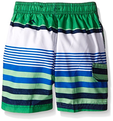 Image of Kanu Surf Boys' Terrapin Turtle Quick Dry Beach Board Shorts Swim Trunk