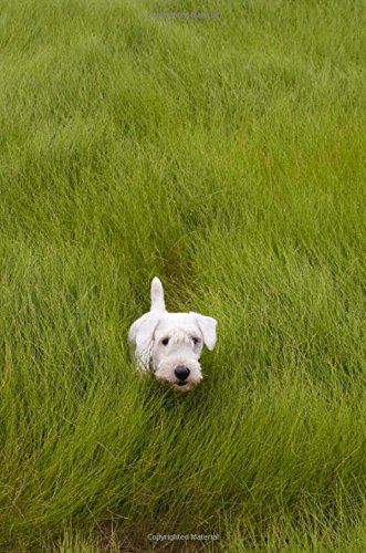 Sealyham Terrier: Artified Pets Journal/Notebook/Diary, 160 Lined Pages