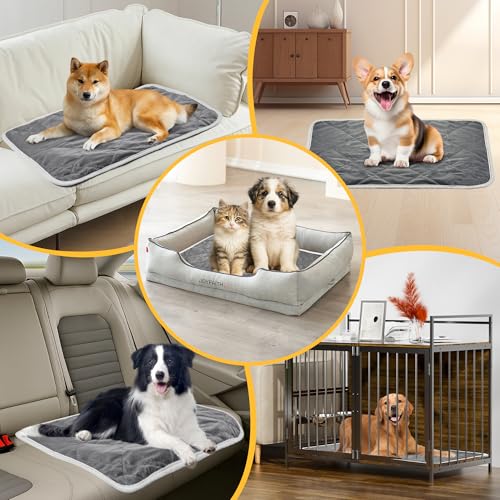 Chumix Selbstheizende Decke für Katzen & Hunde- Haustiere Wärmematte, Warme Hundematte für Klein Mittel, Hund rutschfest Wärmedecke- Waschbare Welpen Thermodecke (L 48X70 cm)