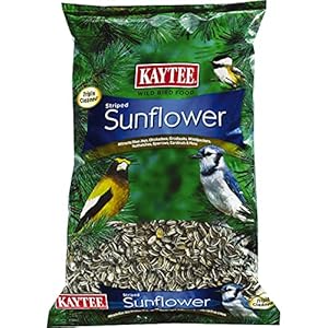 Kaytee Striped Sunflower Wild Bird Food 5 Pounds