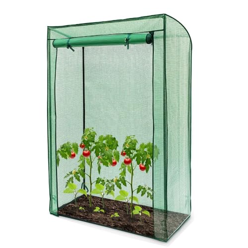 Image of Outdoor Garden Tomato Plant Grow Green House Greenhouse Reinforced Frame & Cover