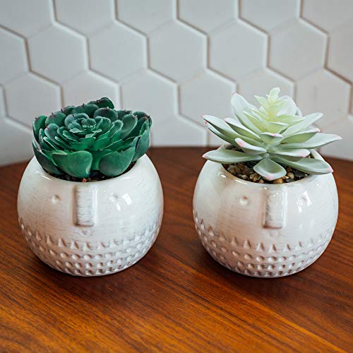 Flora Bunda Mid Century Artificial Plants Cactus Set Of 2 Artificial Succulent In Round Cool Face Ceramic Planter White Pot 4" W X 4" H Iinclude Potted Plant, For Home Office Decorations #TOP4