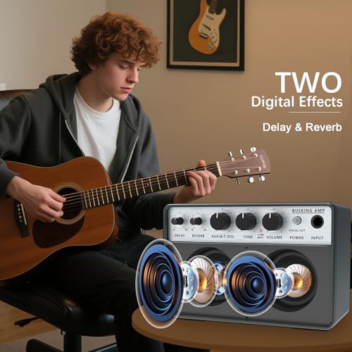 Image of Yuer BA-10Pro 10W Acoustic Guitar Amp, Portable Vocal & Guitar Amplifier with Digital Delay /Reverb Effect Headphone Jack /OTG for Recording, Practice, Travel Guitars Amp with Carry Bag