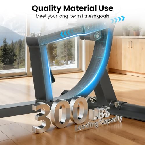 Image of BODIOO Exercise Bike, Recumbent Exercise Bike for Seniors, Stationary Bike for Home Workout, 8-Level Magnetic Resistance, Quiet Smooth Ride, Comfortable Seat with Backrest, Heart Rate Monitor, 300LB Capacity
