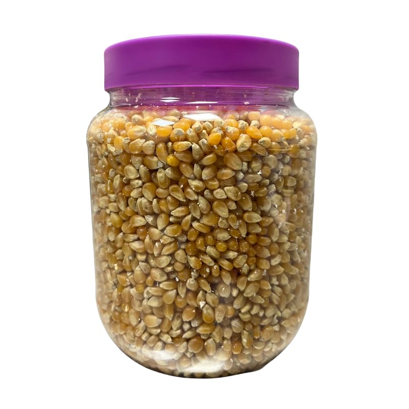 Palomitas Maíz Natural para Freír en Casa, 1,5 KG, Tarro Reutilizable, Sin Aditivos, Sin Sal Añadida, Aproximadamente 30 Raciones