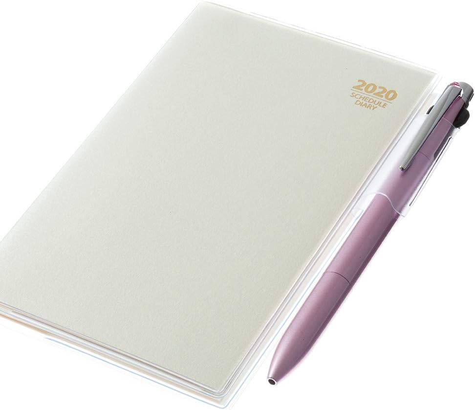 Efficiency PayGem Notebook 2020 Monthly Slim i