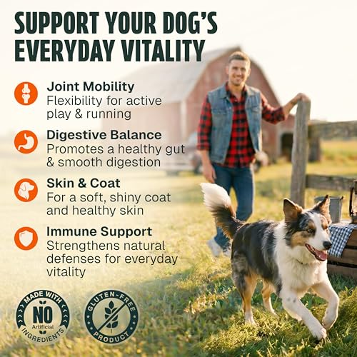 Dog Vitamins and Supplements 250 Chews - 26 in 1 Dog Multivitamin Soft Chews with Glucosamine, Chondroitin, Probiotics, Omega 3 - Hip & Joint, Skin & Coat, Immune Support - Chicken Flavor - Image 4