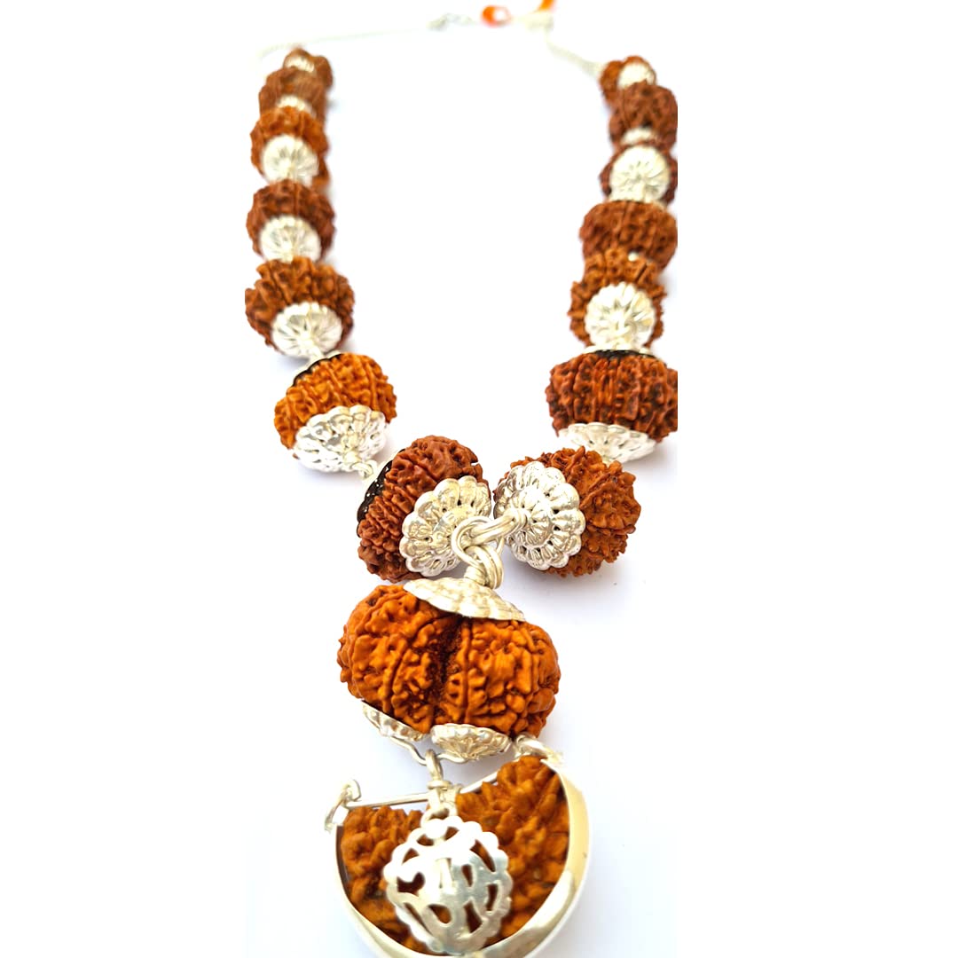 Sarva Sidha Rudraksha Mala 1 Mukhi to 14 Mukhi Rudraksha with Gouri Shanker & Ganesh Rudraksha (B077VMSBX4) Amazon Price History, Amazon Price Tracker