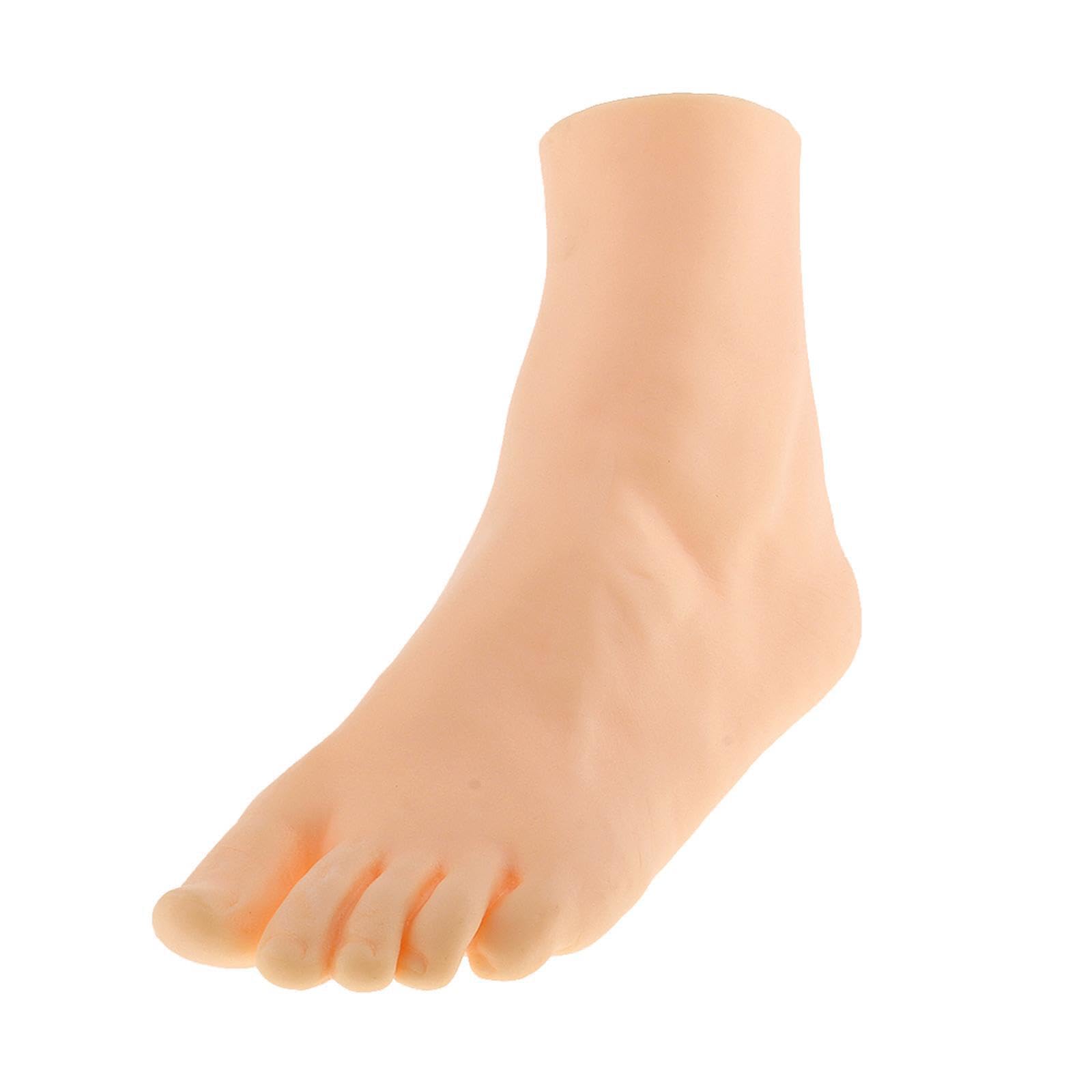 PUXZYAX Mannequin Feet Practice Model Versatile Tool For Jewelry And Footwear Displays Retail Usage 22cm/8.66inch Shows Mannequin Foot Display Holder Stand , skin , Female Left