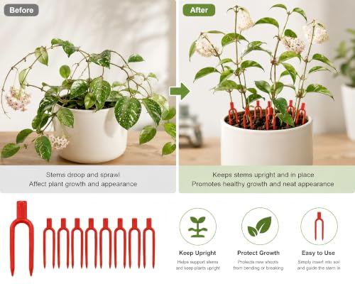 Noraling 100pcs Plastic Gardening Plant pin Strawberry Support Clips Watermelon Fork Farming Securing Vines Fixing Clips Tool by Noraling - Image 2