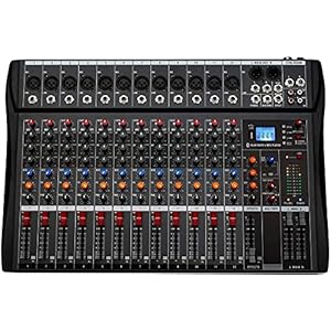 Depusheng DA12 Interface de contrôleur de son DJ avec clé USB pour enregistrement sur ordinateur Mélangeur audio studio 12 canaux – Prise microphone XLR, alimentation 48 V, entrée/sortie RCA