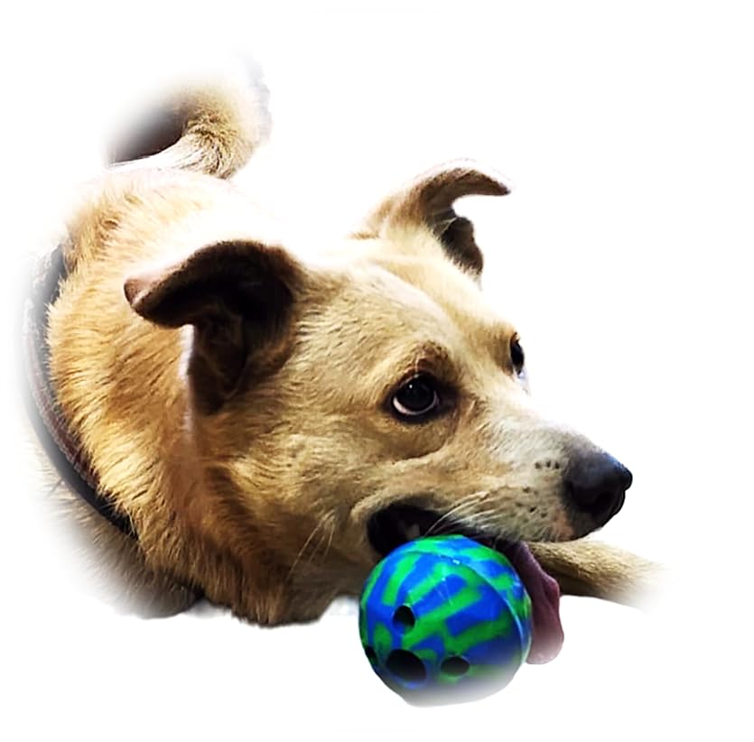 Achievo 100% Vegetarian Aromatic Pet Toy with Refillable Fish Aroma in Green and Blue Color for Small and Medium Breeds Dogs and Cats