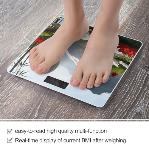Báscula digital para baño Lutang White Feather 180kg miniatura 5
