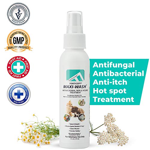 Forticept Maxi-Wash Antimicrobial Wound and Skin Treatment, Cleanser Spray for Hot Spots, Itch