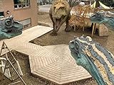 din iso 0815  Dino-Fütterung / Der Dino oder das Ei