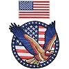 A-ONE -Majestic Bald Eagle Blue/Red+American Nation Flag Patches Embroidery Patch for Clothes NO.156AC