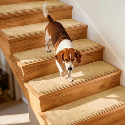 Marches d'escalier beige 76,2 cm pour escalier en bois intérieur | Protection antidérapante sol