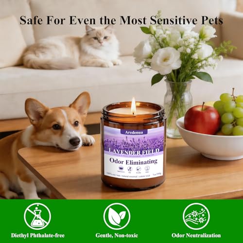Image of Lavender Odor Eliminating Candles | Eliminates 95% of Pet, Smoke, Food, and Other Smells - 7oz Soy Candle for Home Scented - Aromatherapy Stress Relief Scented Candles - Relaxing Gifts for Calm