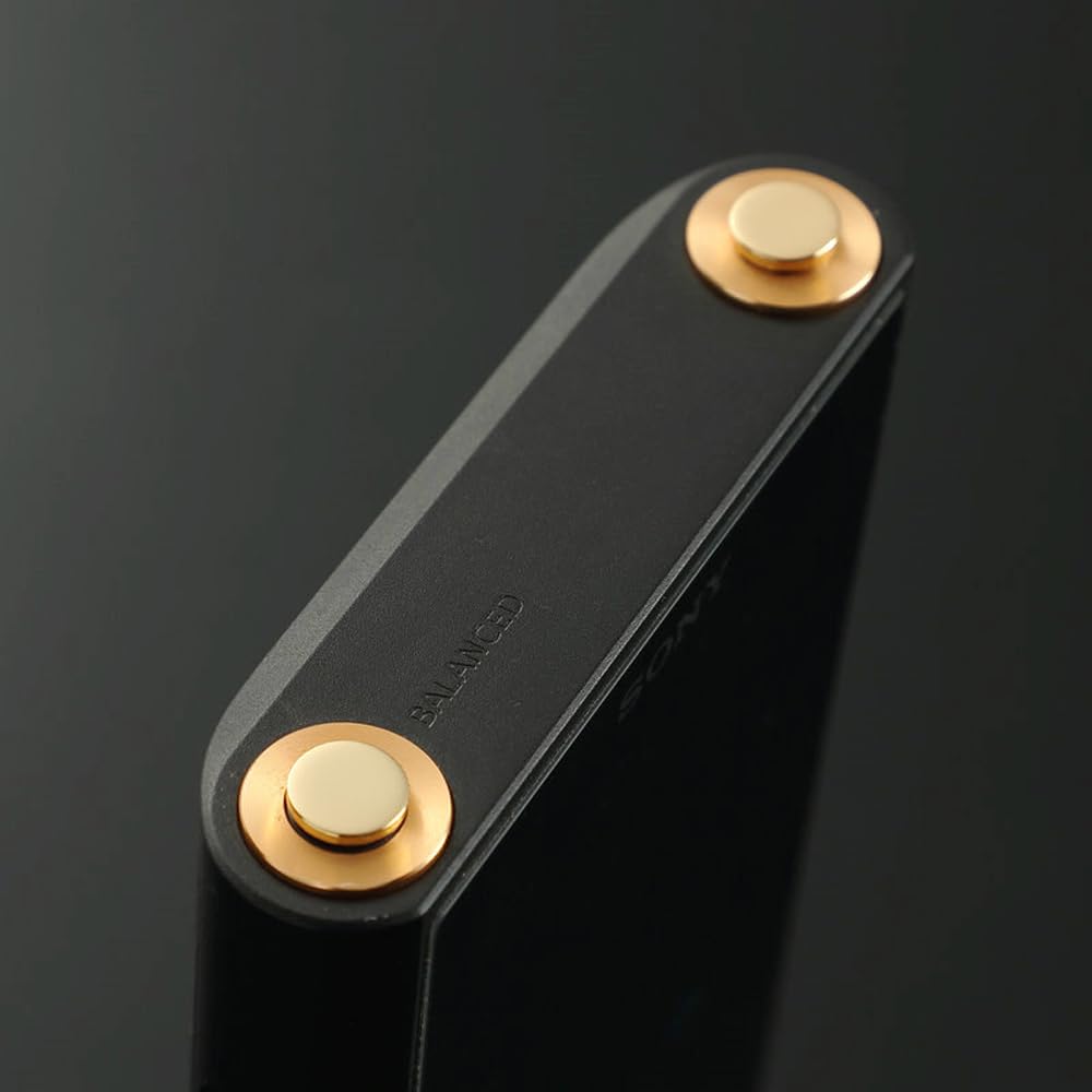 Amazon | に適合する ソニーウォークマン NW-A306 NW-A307 NW-ZX706