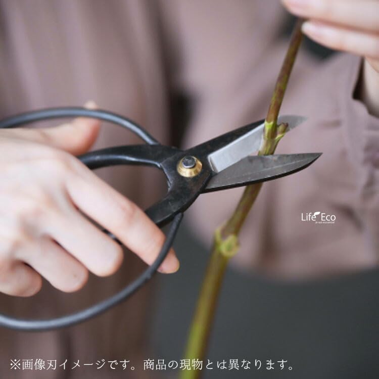 【左利用】木鋏（キバサミ）特級品 K-17L 180mm / 園芸・植物用ハサミ 【先細】