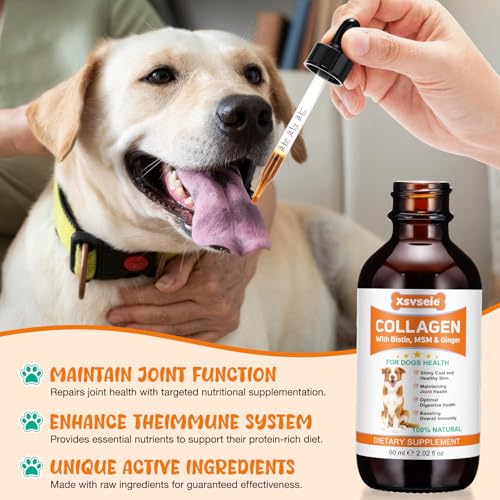 Kollagen Hund, Collagen for Dogs, Flüssiges Kollagen für Hunde, Fördert die Gelenkgesundheit und Beweglichkeit, lindert Hautallergien und Juckreiz,Unterstützt die Gesundheit von Gelenken,Haut und Fell