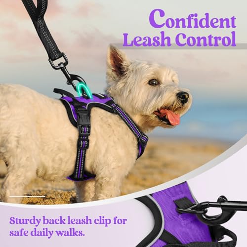 Image of rabbitgoo Dog Harness No Pull with 2 Leash Clips, Adjustable Soft Padded, Reflective Oxford No Choke Pet Vest with Easy Control Handle for Puppy, Purple,XS
