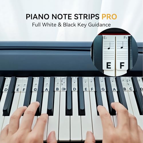 Image of BEATBIT Piano Notes Guide for Beginner, Removable Piano Keyboard Note Labels for Learning, 88-Key Full Size, Made of Silicone, No Need Stickers, Reusable and Comes with Box (Classic Black Pro)