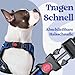rabbitgoo Hundegeschirr Mittelgroße Hunde, Verstellbare Geschirr Hund ohne Zug & Würgen, Anti Zug Hundegeschirr mit Griff, weich Gepolsterte Reflektierende Brustgeschirr, Blau M
