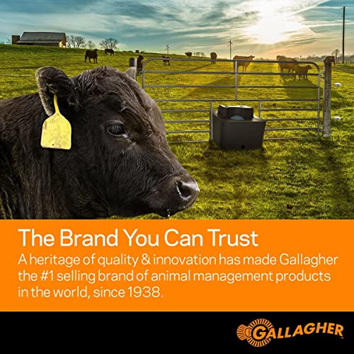 Gallagher Economy Electric Fence Reel | Holds 1640' Poly Wire and 656' of 0.5" Tape | Zinc Coated Frame | Positive Locking Ratchet Mechanism | UV Stabilized - Thumbnail 6