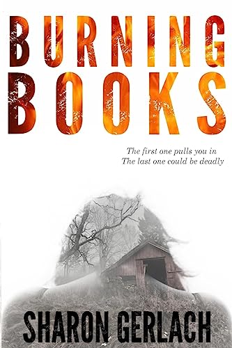 Burning Books view 2