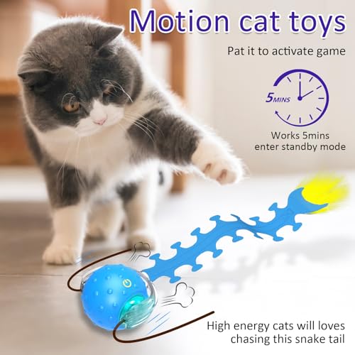 Image of Giociv Interactive Cat Toys Ball for Indoor Cats Fast Rolling on Carpet, Chirping & Motion Activate Cat Toys (Blue Centipede)