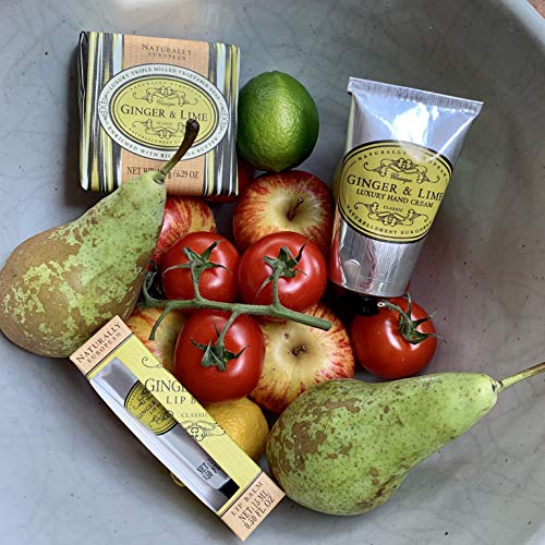 Naturally European Fragrance By Somerset Ginger And Lime Hand Cream By Somerset, 2.5299999999999998 Fl Oz #TOP6