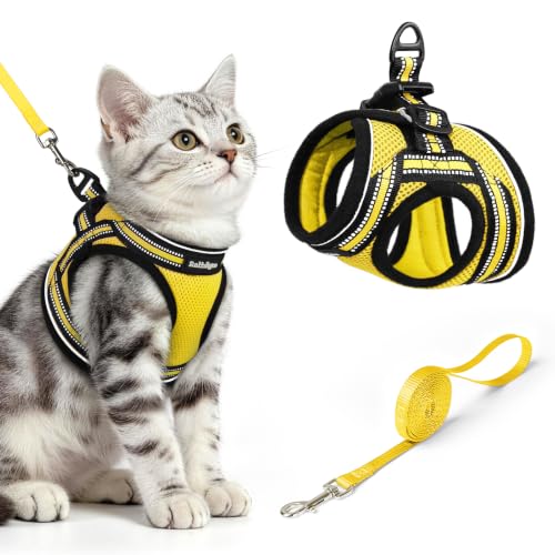 Image of rabbitgoo Cat Harness and Leash Set, Step-in Soft Vest, Bright Yellow | Escape Proof, Lightweight, Easy-on & Adjustable, Hook & Loop with Buckle, Reflective, for Kittens & Small Cats Walks, M