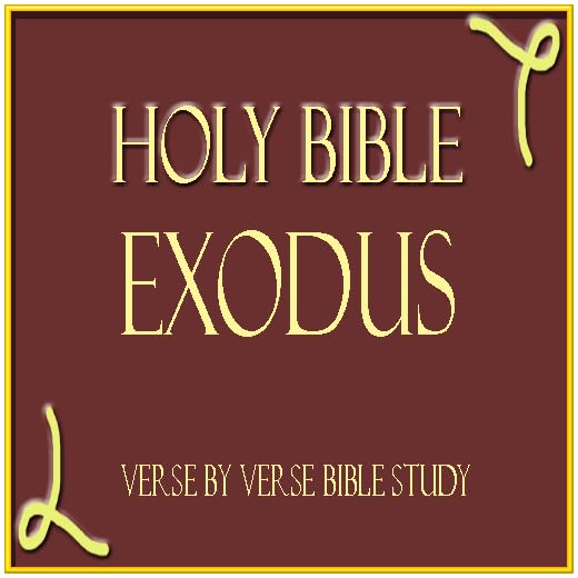 HOLY BIBLE: EXODUS, VERSE BY VERSE BIBLE STUDY APP