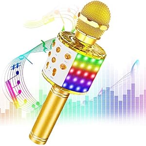 Phiraggit Karaokemicrofoon, bluetooth, draagbare draadloze microfoon, stereo-speler, multifunctioneel, dynamische…