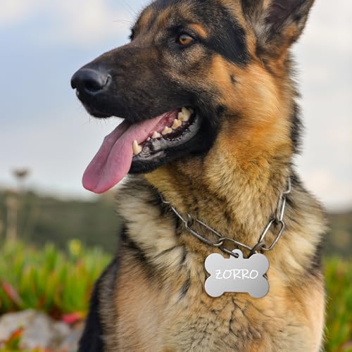 Classicseali 20 Stück Hundemarke Knochen,Metall Erkennungsmarken Rohlinge,Doppelseitige Personalisierte Hunde Marke für ID-Tags,Katzennamen,DIY-Dekorationszubehör,10 Farben