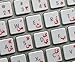 LA CAVERNE D'EABANI Touches Autocollantes Clavier Arabe - Lettres Rouges