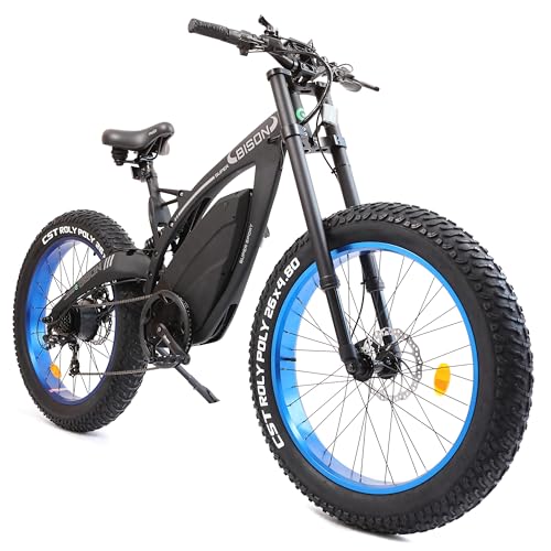 ECOTRIC 1000W Fat Tire Electric Bike