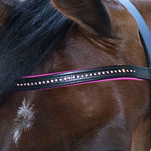 Bridon Waldhausen Star Diamond filet de poney et cheval idéal pour les sorties aux écuries
