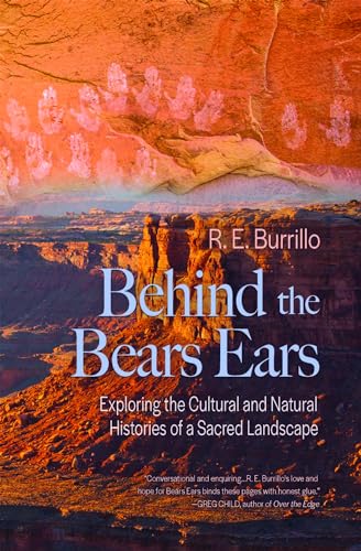 Behind the Bears Ears view 2