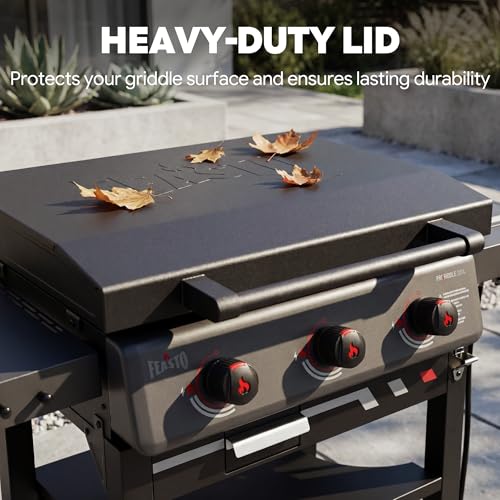 Image of Feasto 28-Inch 3 Burner Propane Flat Top Grill with Hood and Side Burner